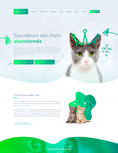 creation wedesign every cat chat abandonnés